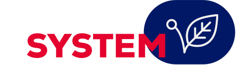 Hybrid System